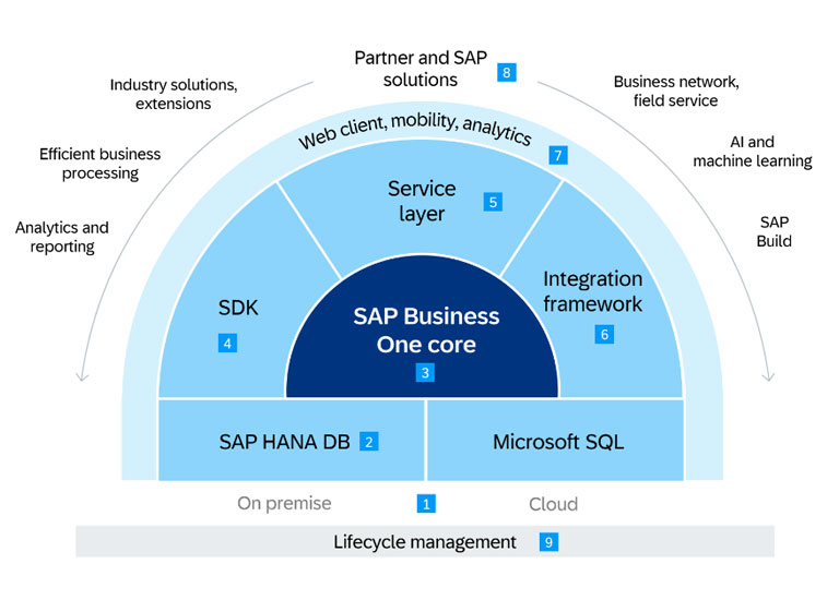 What Is SAP Business One?